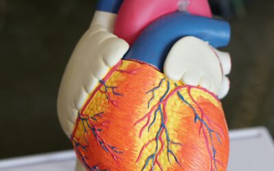 Taking Charge of Cardiovascular Health In Men: Your Path To a Strong Heart